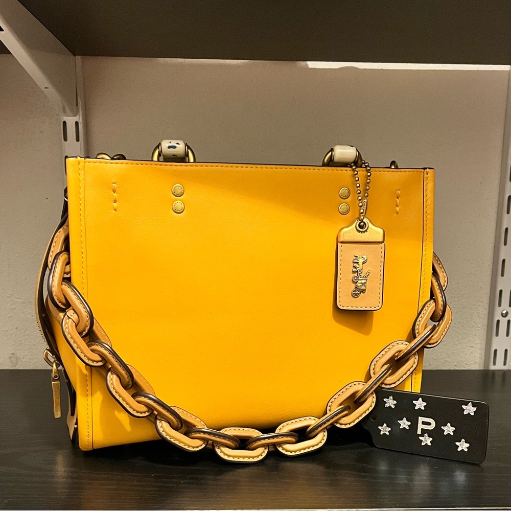 Coach Leather Covered Short Chain Strap x Tom Wesselmann